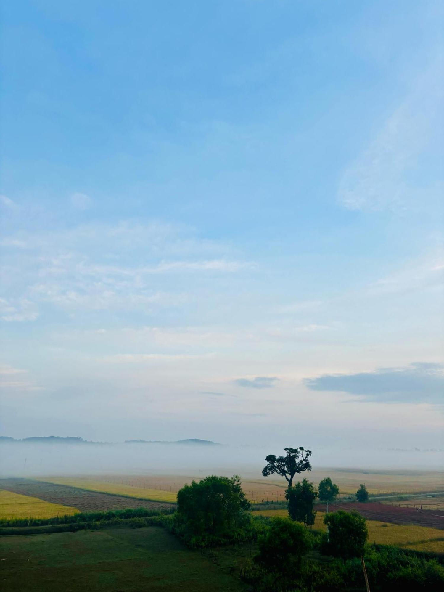 Mungaru Homestay, Talaguppa Sagar  Esterno foto